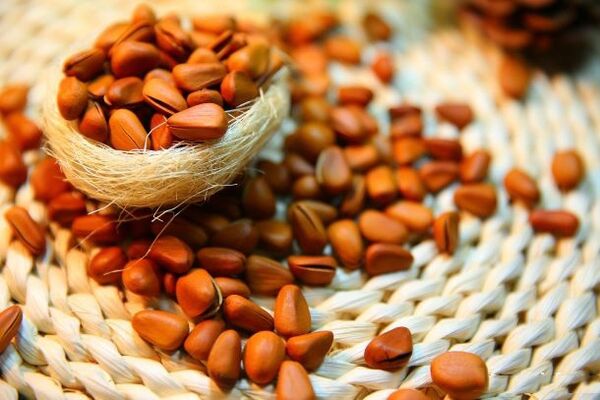 cedar nuts for potency