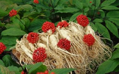 natural remedies for finding potency
