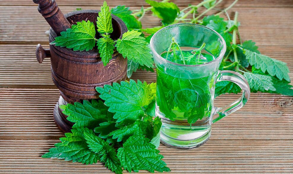Nettle decoction to increase male potency