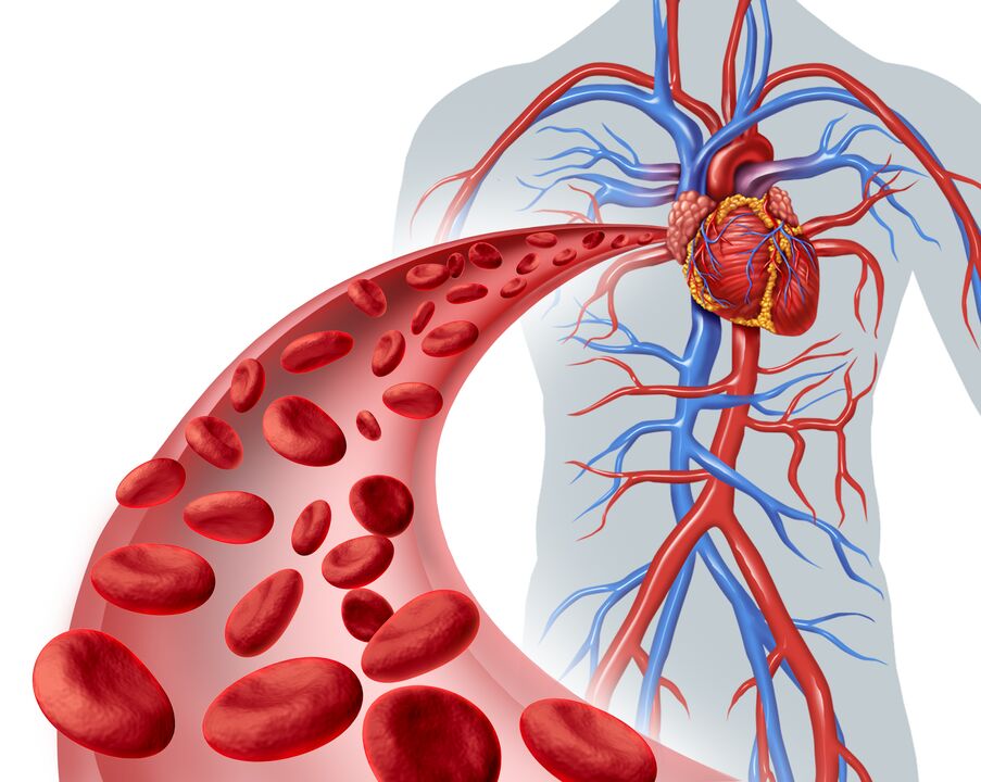 good blood circulation after use Eroboost
